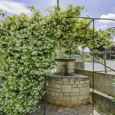 Bozica House With Apartament *